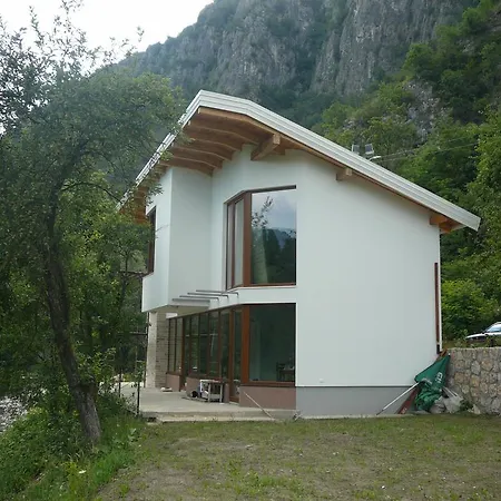 Panora