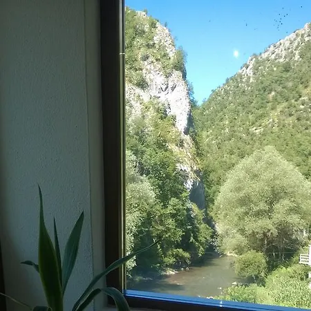 Panora